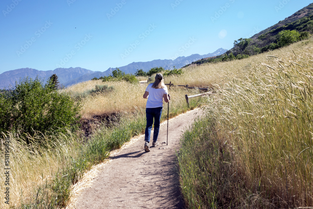 walking in the mountains