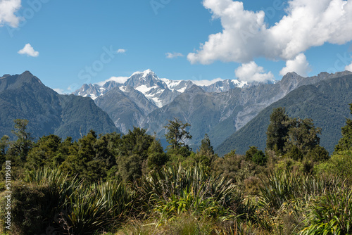 Forest in the foreground looking up the Fox River valley to the snow-capped Southern Alps in the background. West Coast, New Zealand.