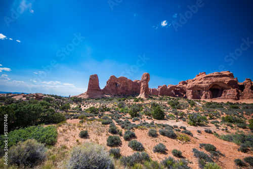 Desert Landscape