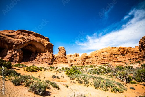 Desert Landscape