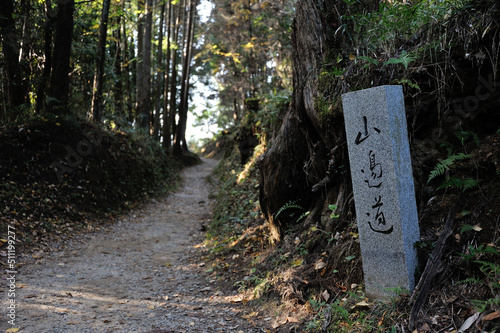 万葉人の歩いた道 photo