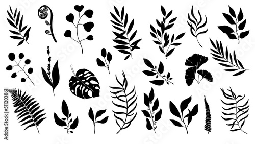 Forest herbs and tropical plants. Silhouettes. Big set of herbs for decorating invitations