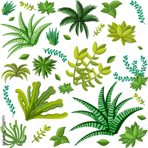 Fototapeta Naklejka Na Ścianę i Meble -  Various plants seamless pattern