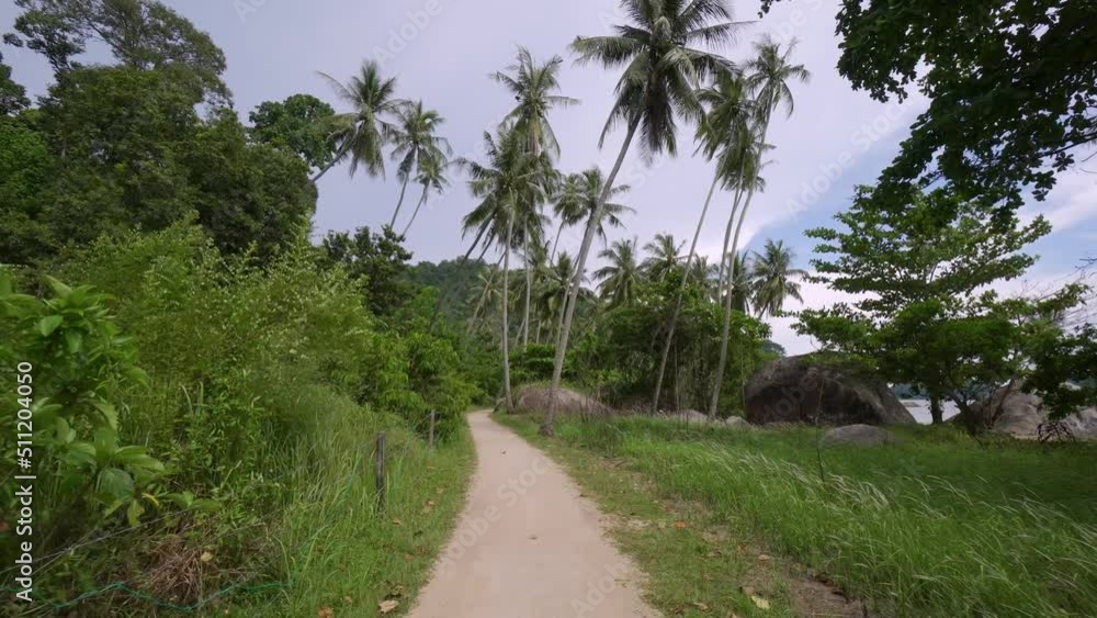 Slowly move at the path of coconut plantation Slowly move at the path of coconut plantation