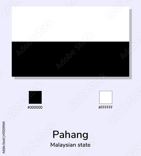 Vector Illustration of Pahang flag isolated on light blue background. Illustration Pahang flag with Color Codes. As close as possible to the original. ready to use, easy to edit. photo