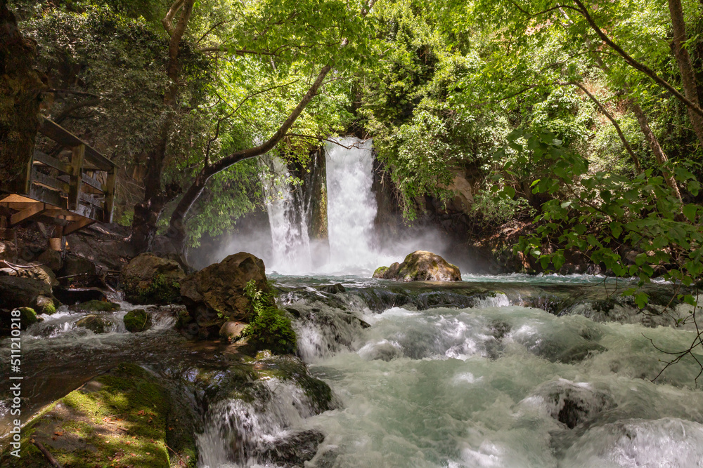 Fototapeta premium Banias waterfall in a Hermon Stream Nature Reserve in northern Israel
