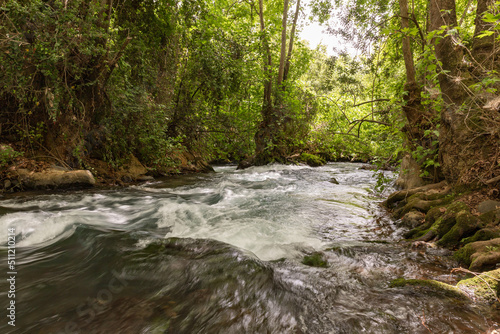 Fast  flowing Hermon stream in the area of the national park in northern Israel