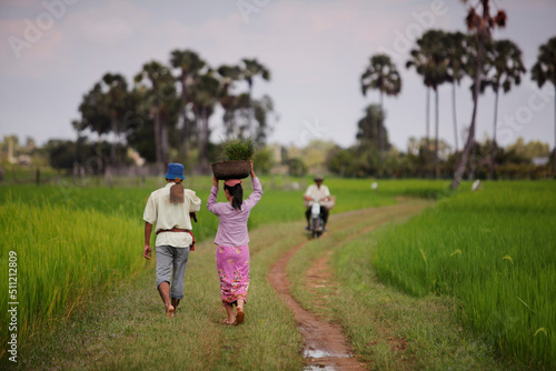 Obraz na plátně Countryside in Kompong Speu, Cambodia