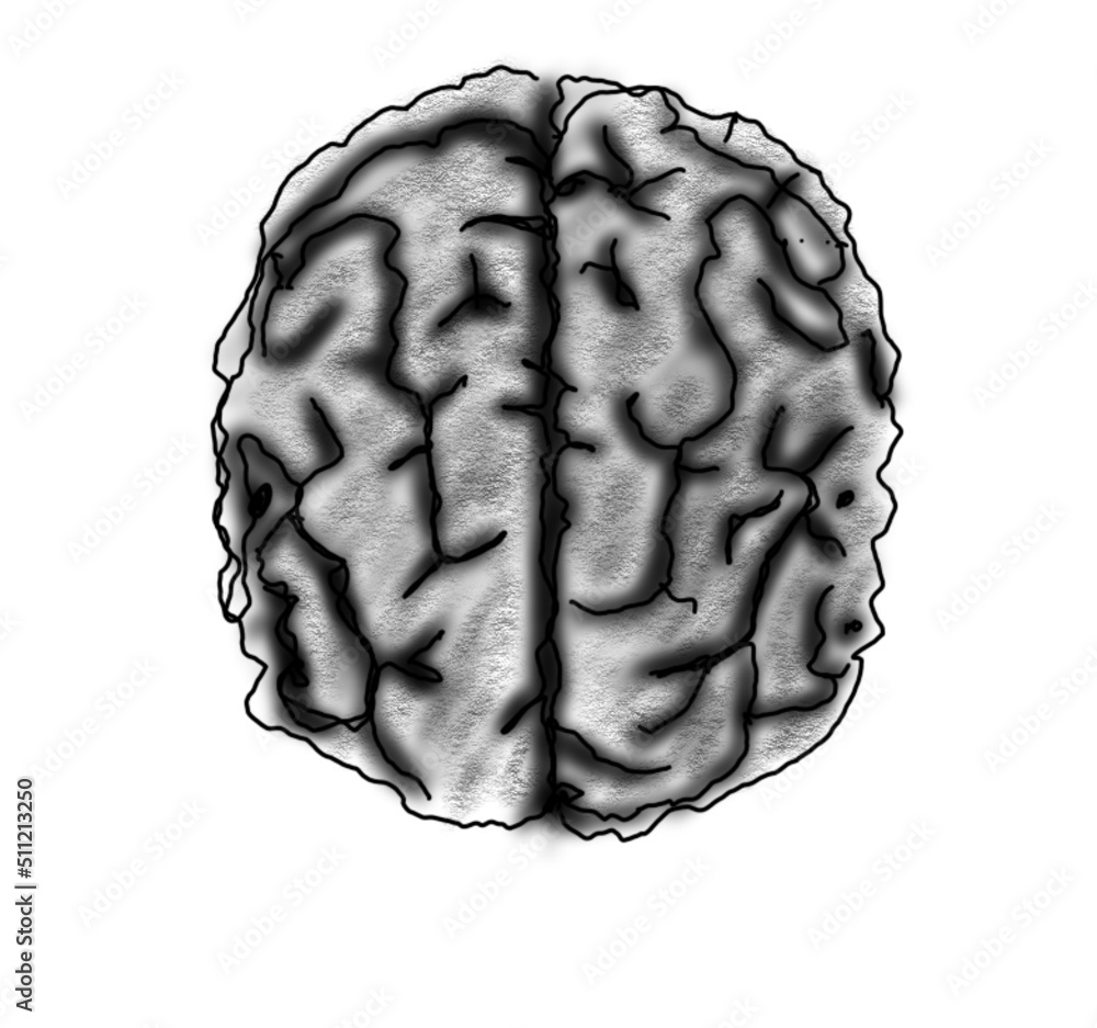 Naklejka premium 3d rendered illustration of human brain