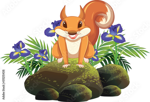 Cute squirrel sitting on rock