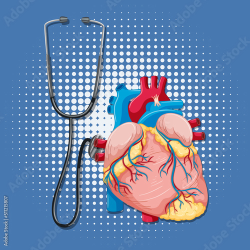 Human internal organ with heart