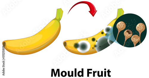 Inedible decomposed banana with mould