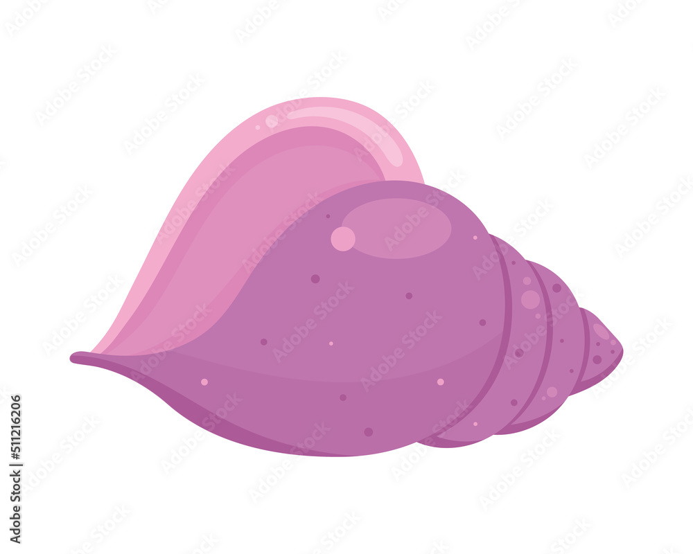 Fototapeta premium lilac sea shell