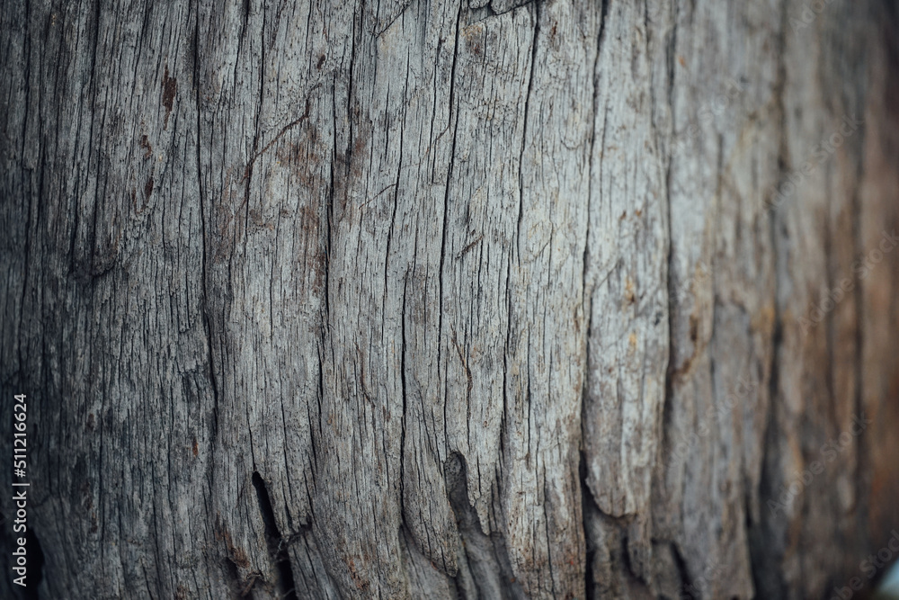 Wood texture. Surface of teak wood background for design and decoration Wood texture. Surface of teak wood background for design and decoration