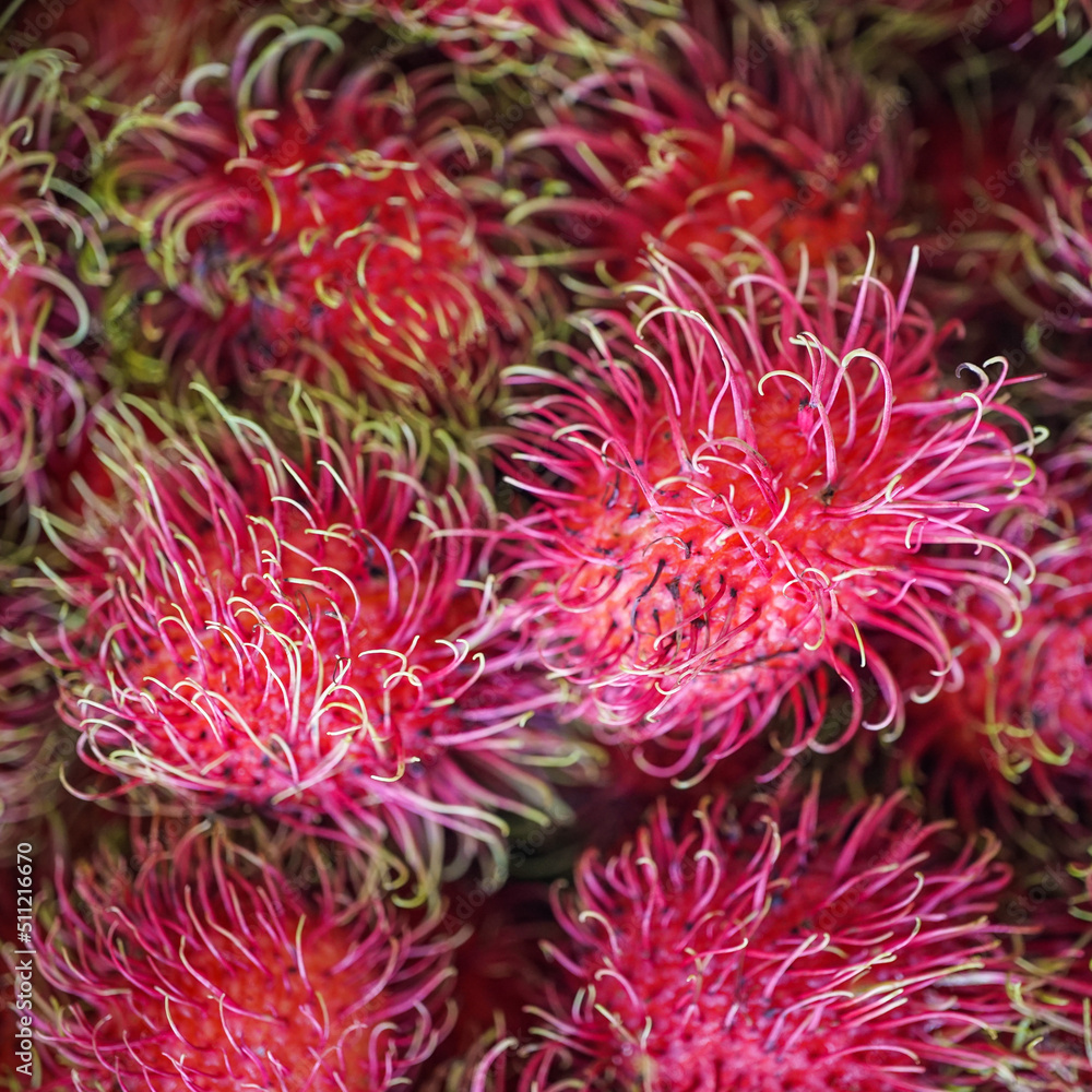 red Healthy fruits rambutans for sell in Thailand.
