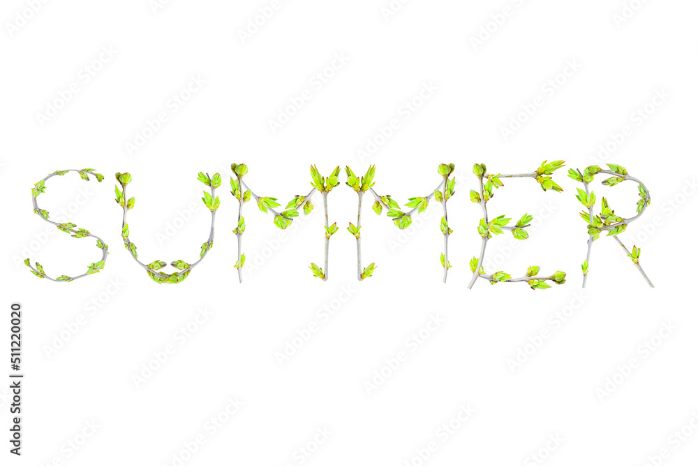 The word Summer is made of twigs with small green leaves on a white background The word Summer is made of twigs with small green leaves on a white background
