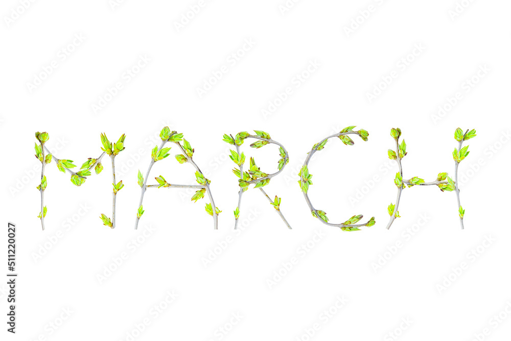 The word March made of tree branches on a white background The word March made of tree branches on a white background