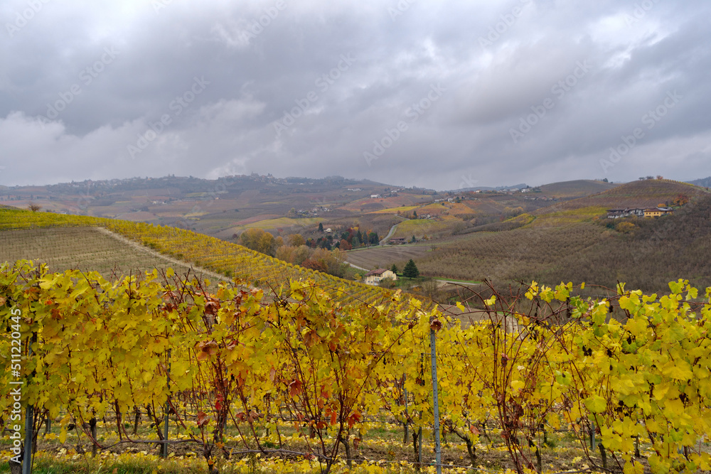 Autumnal landscape of vines and hills in Langhe, Italy