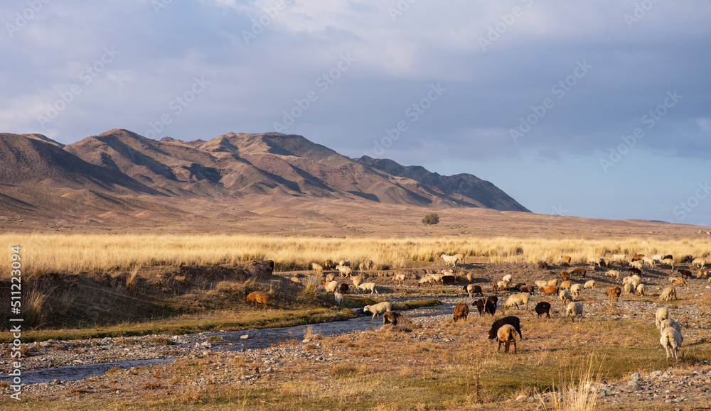 Flock of sheep grazing near small river. Incredible autumn landscape with high yellow grass and mountain range on the background. Flock of sheep grazing near small river. Incredible autumn landscape with high yellow grass and mountain range on the background.
