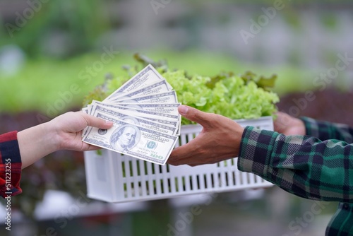 customer buys product with owner business. US dollar in hand. Transaction. Background is agribusiness. Shopping. Farm to table. farmer selling vegetables