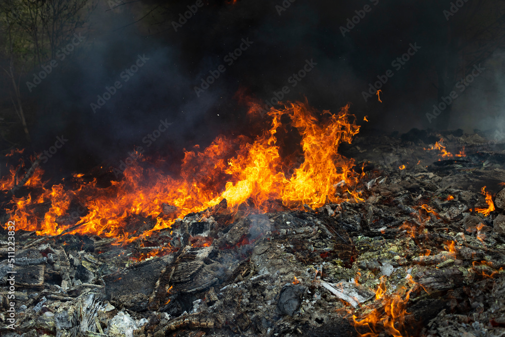 Fire and black smoke. Fire in landfill. Smoke in forest. Illegal landfill. Fire and black smoke. Fire in landfill. Smoke in forest. Illegal landfill.
