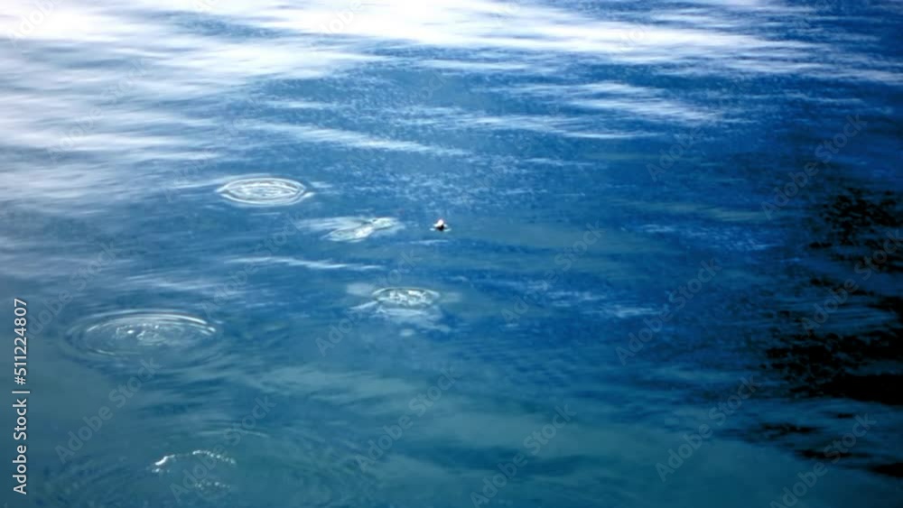 Slow Motion Shot Of Penguins Diving In Blue Sea - Antarctic Peninsula, Antarctica Slow Motion Shot Of Penguins Diving In Blue Sea - Antarctic Peninsula, Antarctica