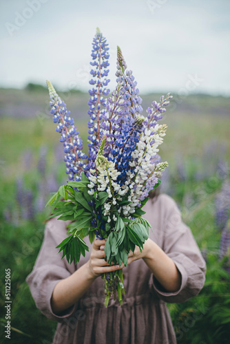 Fototapeta Naklejka Na Ścianę i Meble -  Lupine bouquet in woman hands close up in summer meadow. Cottagecore aesthetics. Young female in linen dress holding wildflowers in atmospheric countryside, rural slow life