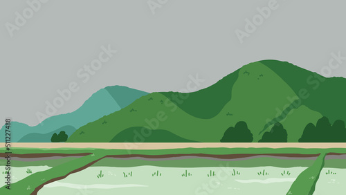 田んぼと山　曇り空