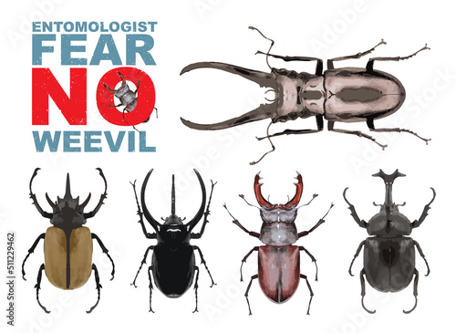 Entomologist Fear No Weevil. Set of realistic beetles on white background