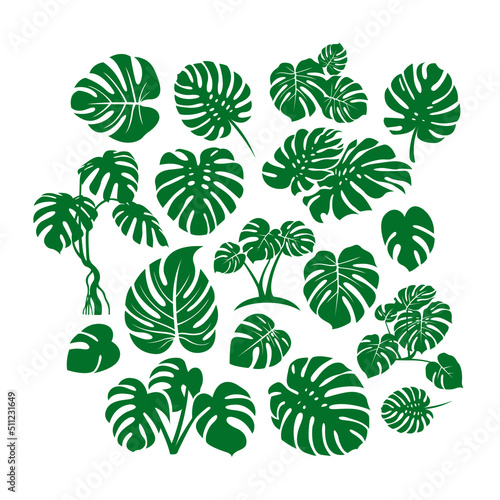 monstera leaf illustration icon set