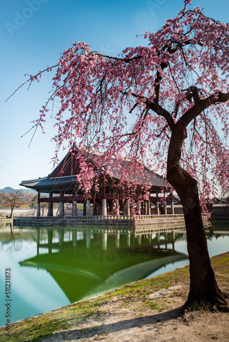Greonohoeru Pavilion in Gyeongbokgung Palace with Cherry blossoms, Seoul, South Korea. Vertical view.