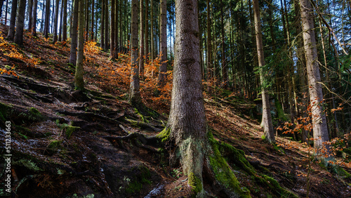 Steep passage - Steile Passage photo