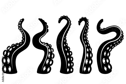 Set of illustrations of octopus tentacles. Design elements for logo, label, sign, t shirt. Vector illustration