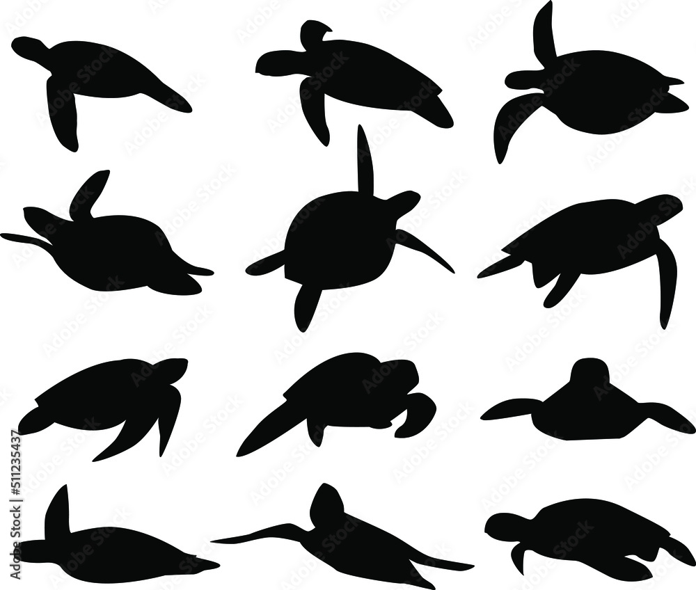 Vector silhouettes of sea turtles on isolated white background. Icon ...