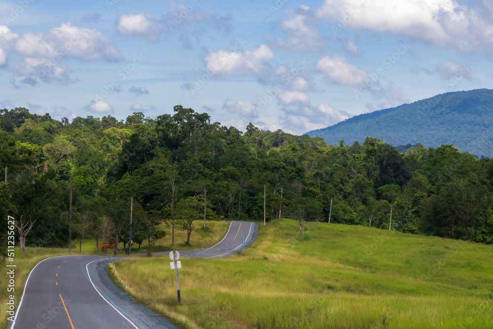 mountains, asphalt, summer, clouds, country, hill, way, rural, forest, transportation, countryside, route, green, tree, grass, winding, transport, scenic,national park,khaoyai,blue sky,sky,wildlife,