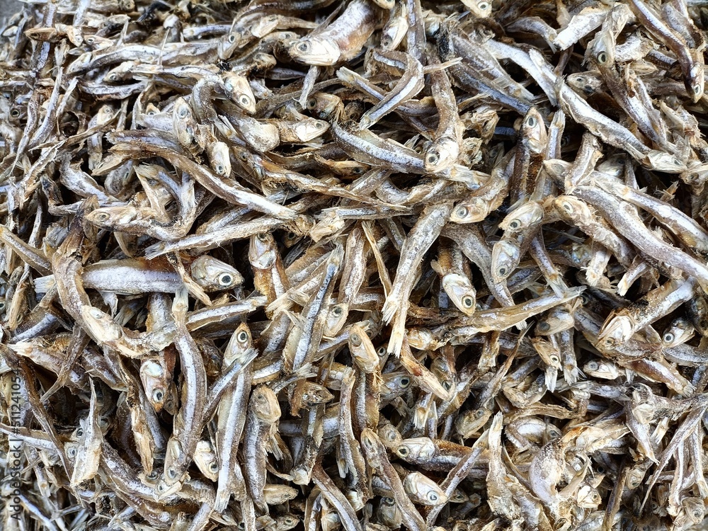 dried  fish  on the market Tamil Nadu 