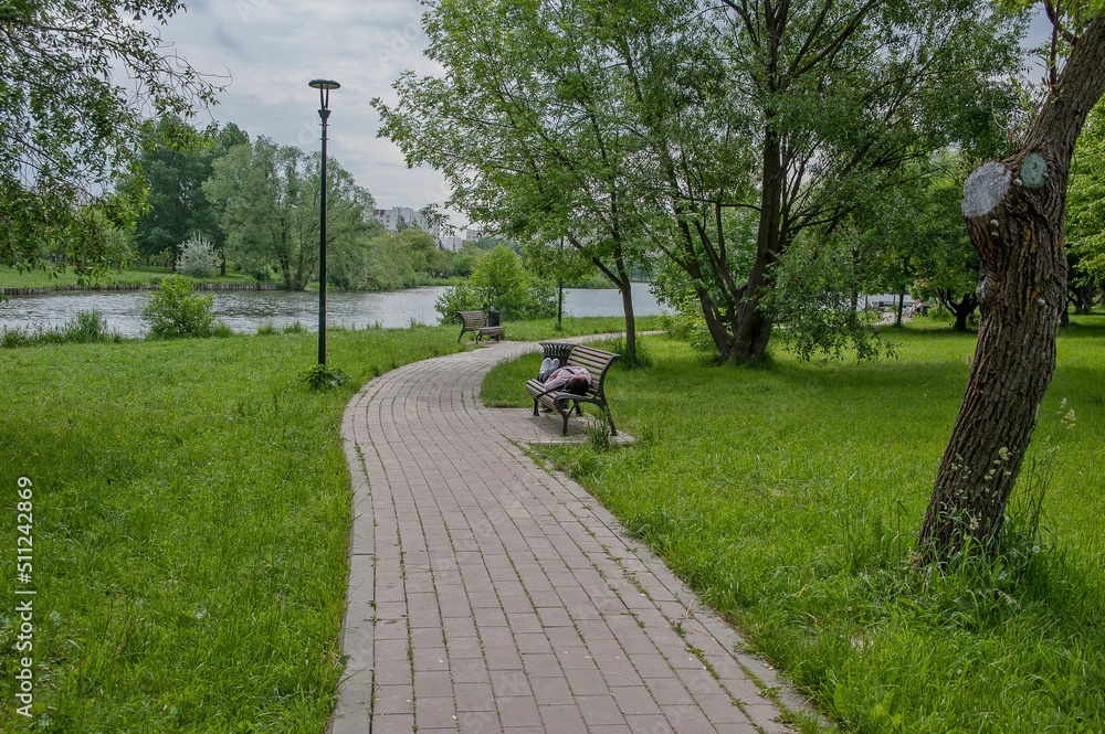 A girl is resting on a bench in a city park
