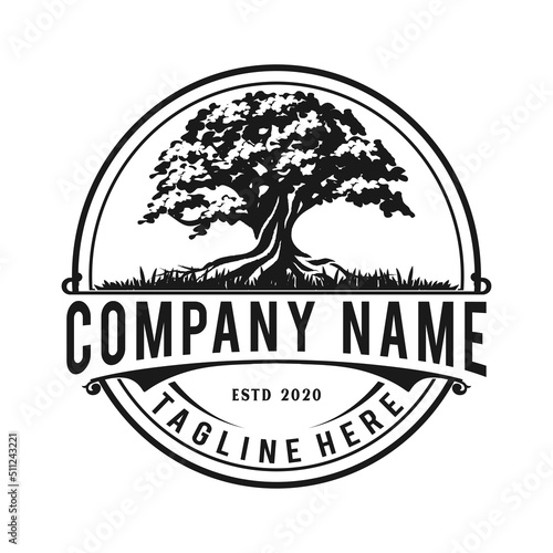 tree emblem in a circle. vintage retro logo design concept.
