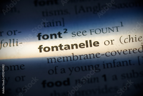 fontanelle