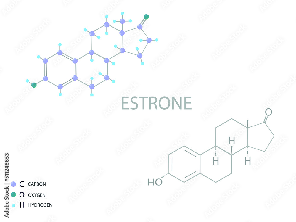 Estrone molecular skeletal 3D chemical formula. Estrone molecular skeletal 3D chemical formula.