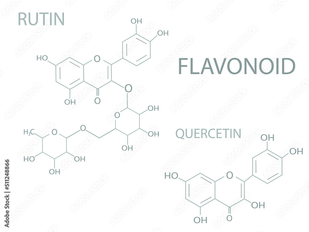 Fototapeta premium Flavonoid (quercetin or rutin) molecular skeletal chemical formula. 