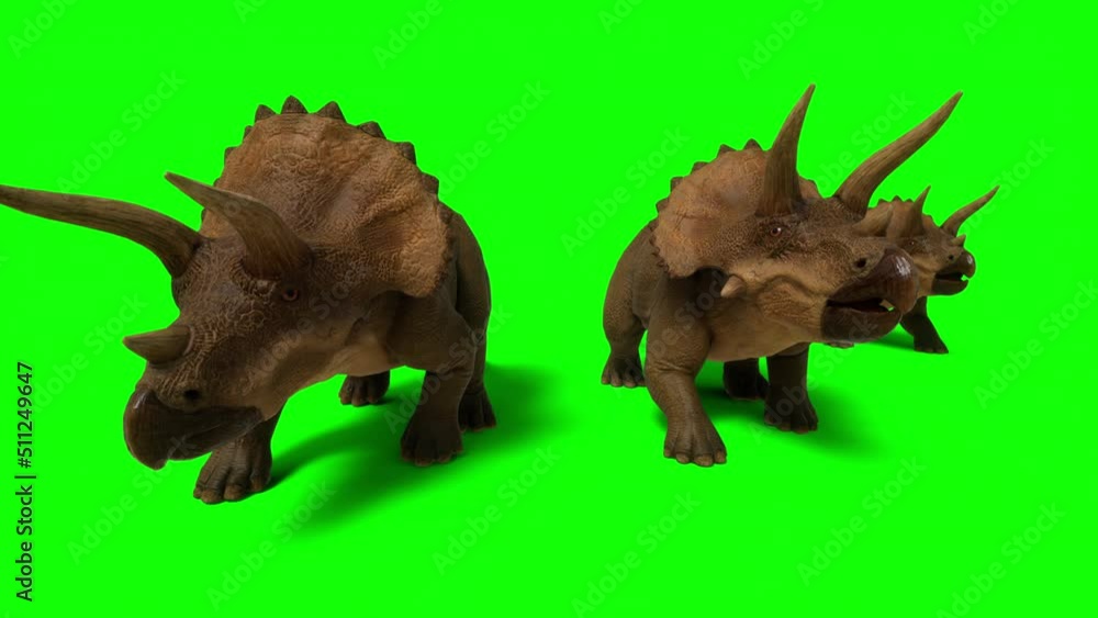 Triceratops, ceratops walking on green screen background. The Jurassic Period, Mesozoic era. 3d rendering Triceratops, ceratops walking on green screen background. The Jurassic Period, Mesozoic era. 3d rendering
