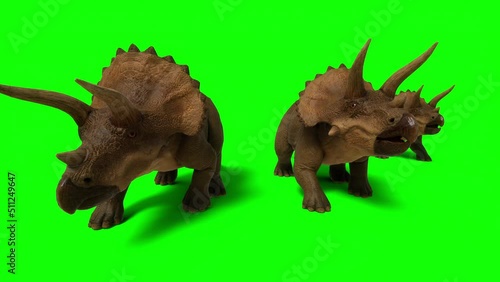 Triceratops, ceratops walking on green screen background. The Jurassic Period, Mesozoic era. 3d rendering photo