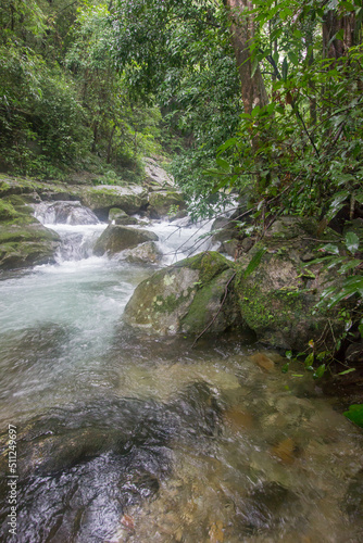 Pure nature in the middle of the bushy evergreen forest of Umphang Wildlife Sanctuary,Tak Province,Thailand.