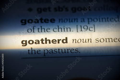 Tablou pe pânză goatherd