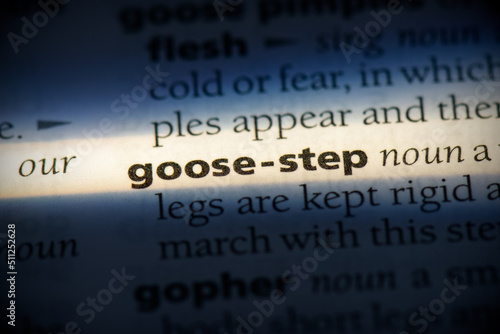 goose-step