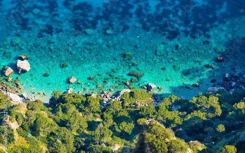Fototapeta Naklejka Na Ścianę i Meble -  Rocky coast of Mediterranean Sea near island of Capri in Italy. Clean and clear blue water, green trees, sunny summer weather.