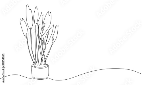 One line home plants silhouette. Botanical Continuous line background. Contour illustration isolated on white. Minimalist art vector drawing.