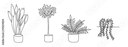 Set of flowers for home. Flowers in pots are drawn with a black line on a white background. Vector drawing lines