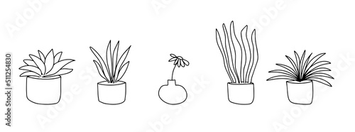 Set of flowers for home. Flowers in pots are drawn with a black line on a white background. Vector drawing lines